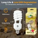 UVA UVB Reptile Light 10.0 — Desert UVB 150 Compact Fluorescent Lamp
