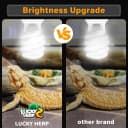 UVA UVB Reptile Light 10.0 — Desert UVB 150 Compact Fluorescent Lamp
