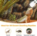 UVA UVB Reptile Light 10.0 — Desert UVB 150 Compact Fluorescent Lamp