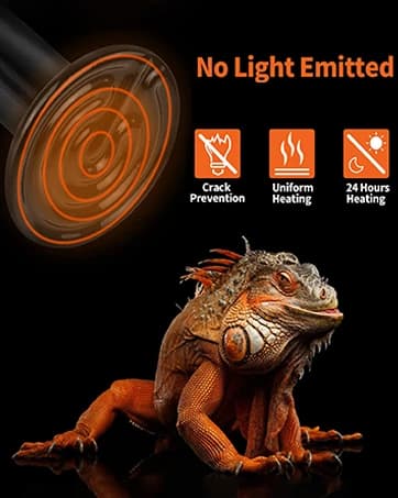 UVA UVB Reptile Light 10.0 — Desert UVB 150 Compact Fluorescent Lamp — collection imagery