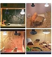 UVA UVB Reptile Light 10.0 — Desert UVB 150 Compact Fluorescent Lamp — collection imagery