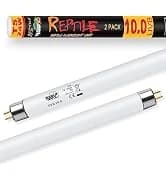 UVA UVB Reptile Light 10.0 — Desert UVB 150 Compact Fluorescent Lamp — collection imagery