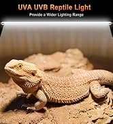 UVA UVB Reptile Light 10.0 — Desert UVB 150 Compact Fluorescent Lamp — collection imagery