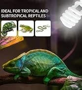 UVA UVB Reptile Light 10.0 — Desert UVB 150 Compact Fluorescent Lamp — collection imagery