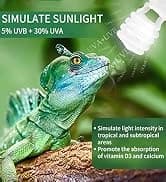 UVA UVB Reptile Light 10.0 — Desert UVB 150 Compact Fluorescent Lamp — collection imagery