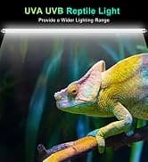 UVA UVB Reptile Light 10.0 — Desert UVB 150 Compact Fluorescent Lamp — collection imagery