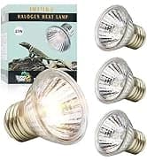 UVA UVB Reptile Light 10.0 — Desert UVB 150 Compact Fluorescent Lamp — collection imagery