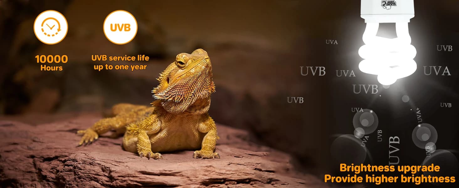 UVA UVB Reptile Light 10.0 — Desert UVB 150 Compact Fluorescent Lamp — UVB Low Decay and Brightness Upgrade