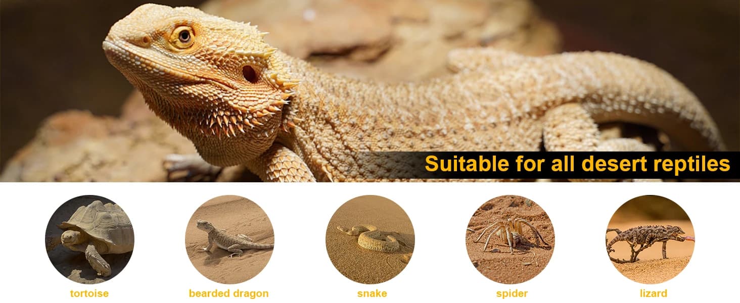 UVA UVB Reptile Light 10.0 — Desert UVB 150 Compact Fluorescent Lamp — UVB 10.0 Light Bulb Is Specifically Made for Desert Dwelling Reptiles