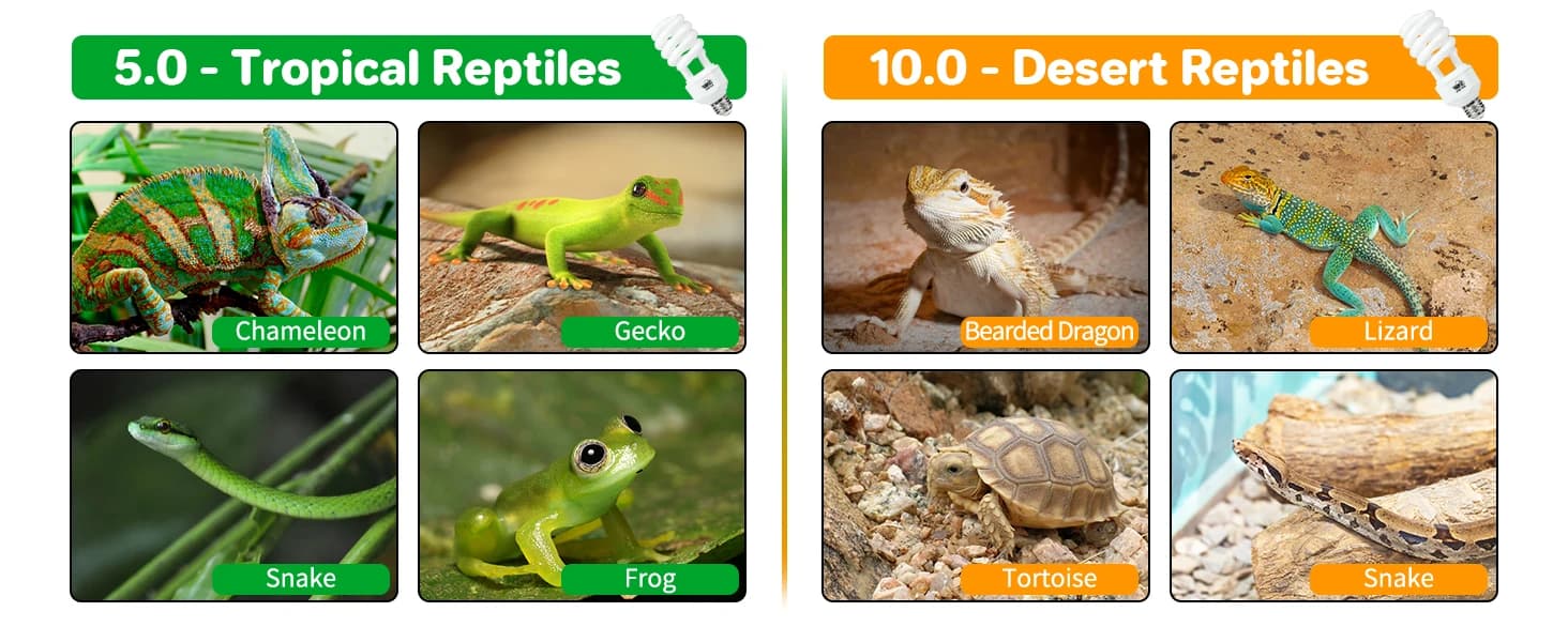 UVA UVB Reptile Light 10.0 — Desert UVB 150 Compact Fluorescent Lamp — product details
