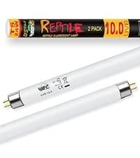UVA UVB Reptile Light 10.0 — Desert UVB 150 Compact Fluorescent Lamp — collection imagery