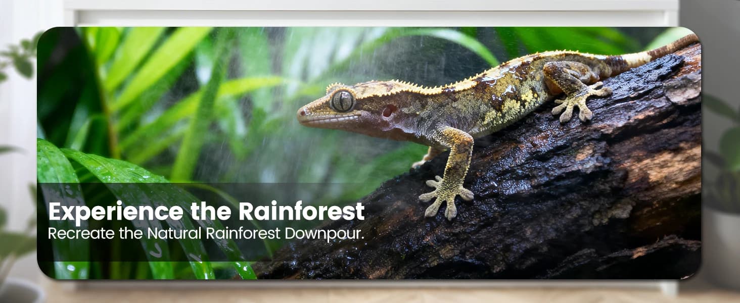 Reptile Mister — Automatic Misting System for Reptile Tank — product details
