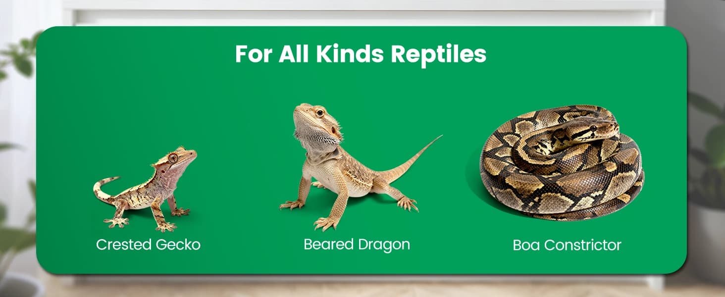 Reptile Mister — Automatic Misting System for Reptile Tank — product details