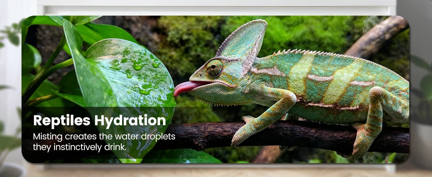 Reptile Mister — Automatic Misting System for Reptile Tank — product details
