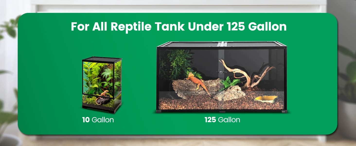 Reptile Mister — Automatic Misting System for Reptile Tank — product details