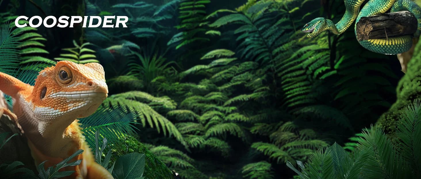 Reptile Fogger Humidifier — Automatic Humidifiers for Reptiles Tank — collection imagery