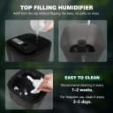 Reptile Fogger Humidifier — Automatic Humidifiers for Reptiles Tank