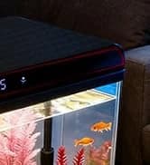 Reptile Fogger Humidifier — Automatic Humidifiers for Reptiles Tank — collection imagery