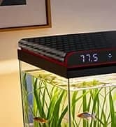 Reptile Fogger Humidifier — Automatic Humidifiers for Reptiles Tank — collection imagery