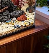 Reptile Fogger Humidifier — Automatic Humidifiers for Reptiles Tank — collection imagery