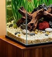 Reptile Fogger Humidifier — Automatic Humidifiers for Reptiles Tank — collection imagery