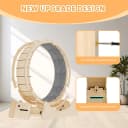 Cat Exercise Wheel for Indoor Cats — 46 Inch