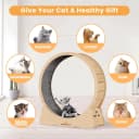 Cat Exercise Wheel for Indoor Cats — 46 Inch