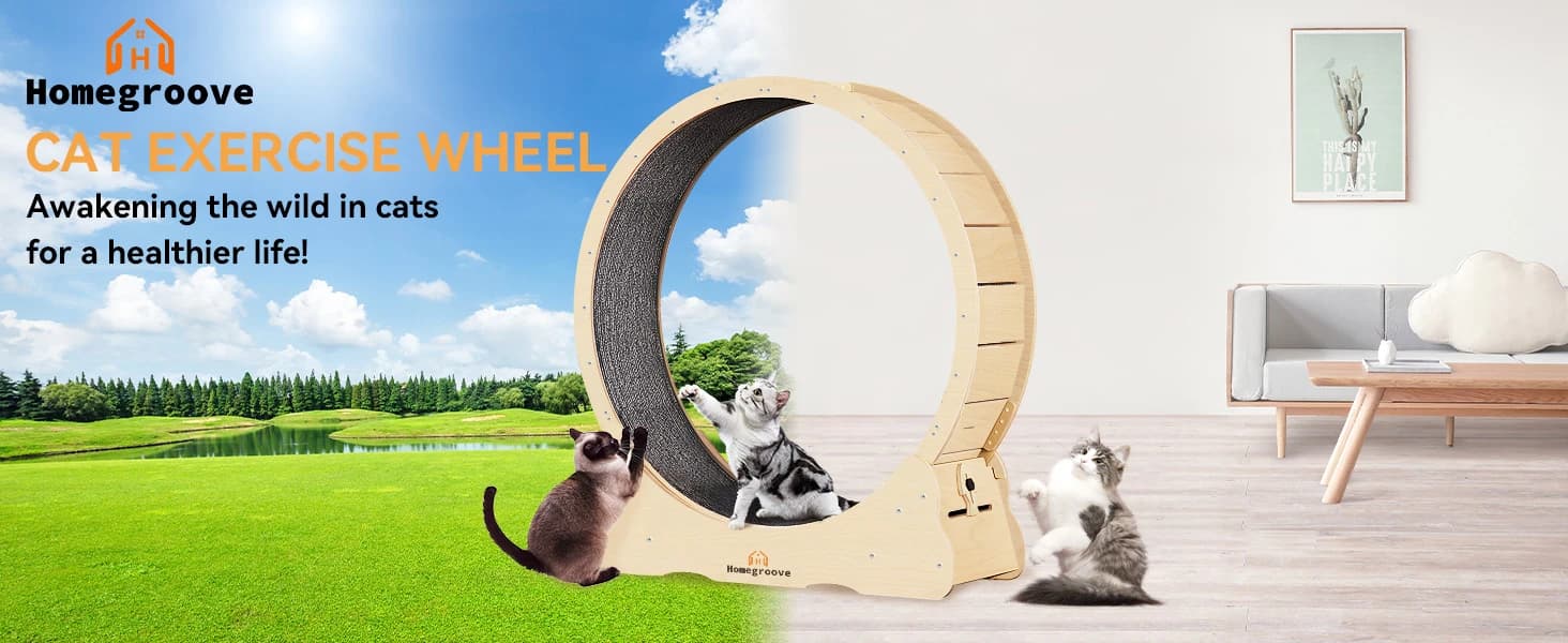 Cat Exercise Wheel for Indoor Cats — 46 Inch — product details