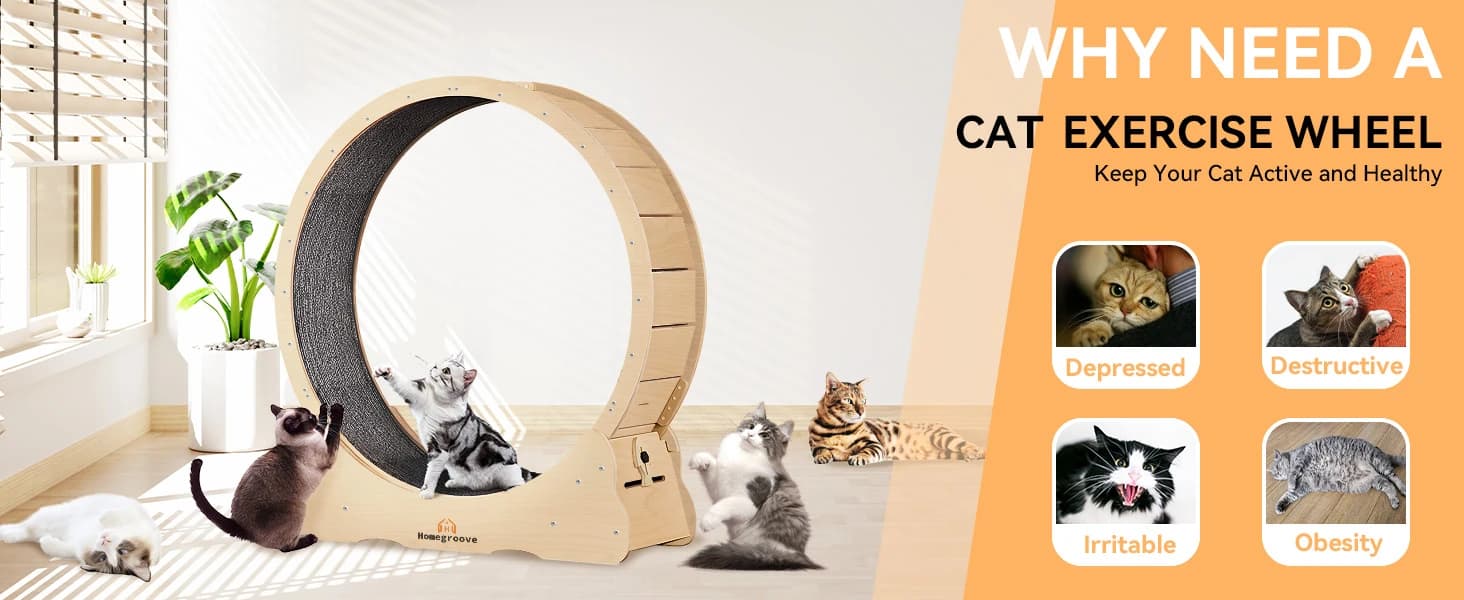 Cat Exercise Wheel for Indoor Cats — 46 Inch — product details