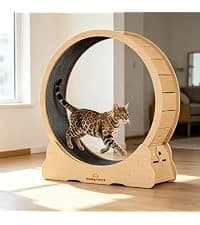 Cat Exercise Wheel for Indoor Cats — 46 Inch — collection imagery