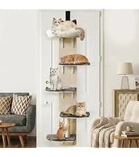 Cat Exercise Wheel for Indoor Cats — 46 Inch — collection imagery