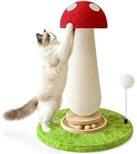 Cat Exercise Wheel for Indoor Cats — 46 Inch — collection imagery
