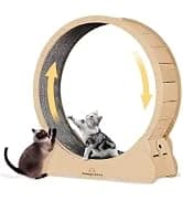 Cat Exercise Wheel for Indoor Cats — 46 Inch — collection imagery