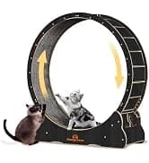 Cat Exercise Wheel for Indoor Cats — 46 Inch — collection imagery