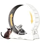 Cat Exercise Wheel for Indoor Cats — 46 Inch — collection imagery