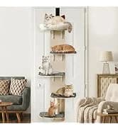Cat Exercise Wheel for Indoor Cats — 46 Inch — collection imagery