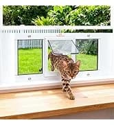 Cat Exercise Wheel for Indoor Cats — 46 Inch — collection imagery