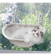 Cat Exercise Wheel for Indoor Cats — 46 Inch — collection imagery
