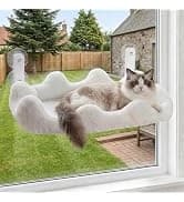 Cat Exercise Wheel for Indoor Cats — 46 Inch — collection imagery