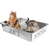 Cat Exercise Wheel for Indoor Cats — 46 Inch — collection imagery