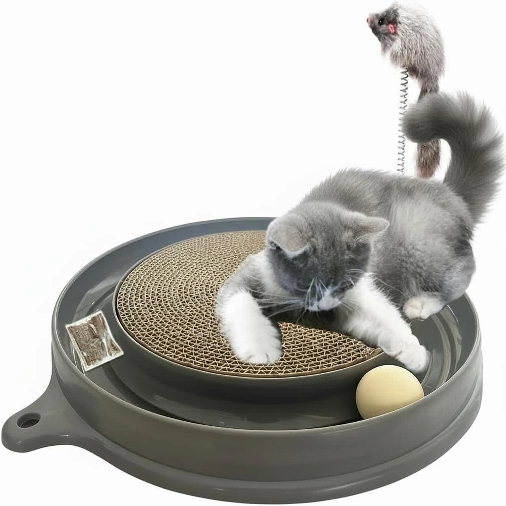 Cat Scratcher Toy with Ball Track for Indoor Cats and Kittens