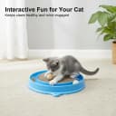 Cat Scratcher Toy with Ball Track for Indoor Cats and Kittens