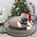 Cat Scratcher Toy with Ball Track for Indoor Cats and Kittens