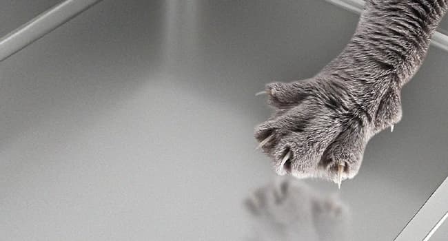 Large High Sided Stainless Steel Cat Litter Box — Non-Stick — Scratch-proof