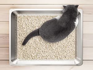Large High Sided Stainless Steel Cat Litter Box — Non-Stick — Open Top Design