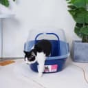 Covered Litter Box — Jumbo Hooded Cat Litter Box Holds Up to Two Small Cats Simultaneously