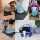 Covered Litter Box — Jumbo Hooded Cat Litter Box Holds Up to Two Small Cats Simultaneously