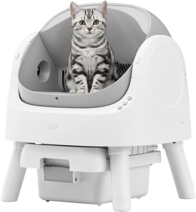 Self Cleaning Cat Litter Box