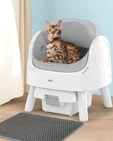 Self Cleaning Cat Litter Box — collection imagery