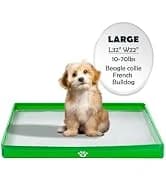Cat Litter Box Enclosure Furniture Odor Control — Extra Large — collection imagery